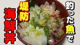 冬の五目釣り仕掛け！堤防で釣れた魚で海鮮丼を作ろう！【96釣目】