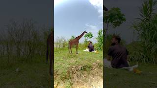 😨🫣 Giraffe came to the village #shorts #giraffe #animationvideo #vfx #film #entertainment #comedy