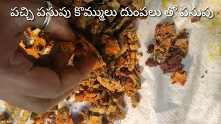 pasupu preparation in telugu పసుపు దుంపలు, కొమ్ముల తో పసుపు తయారీ// how to make turmeric powder