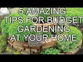 Top 5 Gardening Ideas You Need to Try!