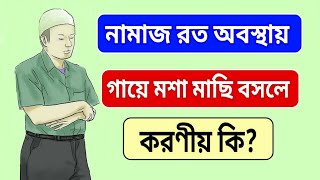 নামাজ রত অবস্থায় মশা মাছি বসলে করণীয় কি? | নামাজ পড়ার সময় গায়ে মশা মাছি বসলে কি করবেন | নামাজ শিক্ষা