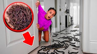 We FOUND WORMS in CALI'S Room 🪱😱