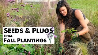 Planting Native Violets from Seed and Plant Plugs 🌸 || Flock Finger Lakes