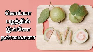 உடலை காக்கும் கொய்யா #guavabenefits #guavafruits #guava #tamil #healthytips #healthtips #health