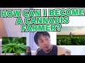 (4chan) How can I become a cannabis farmer? (Hiroyuki)