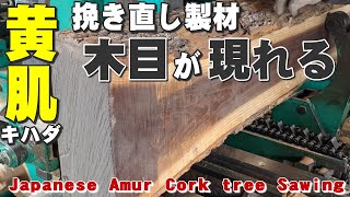 【挽き直し製材】キハダ材の修正挽き【木の店さんもく】Japanese Amur Cork tree Sawing