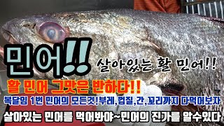 살아있는 대물 민어!선어가 아닌 활민어대박입니다