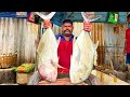 KASIMEDU 🔥 SPEED SELVAM | BIG WHITE TREVALLY FISH CUTTING VIDEO | IN KASIMEDU | FF CUTTING 🔪