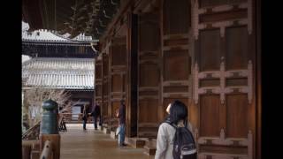 現存する日本の寺院最大の山門を有する寺　知恩院