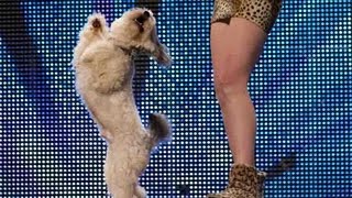 Ashleigh and Pudsey - Britain's Got Talent 2012 audition - International version