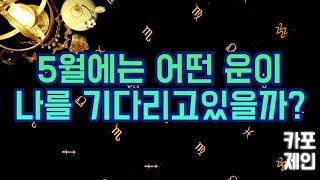 [타로카드 / 월별운세] 🔮다가오는 5월에 반드시 맞이하실 5월 전체운!🔮