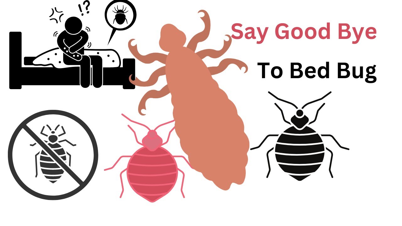 "Say Goodbye To Bed Bugs Forever With These Organic Hacks!" - YouTube