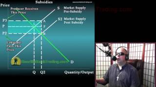 Microeconomics of the Subsidy