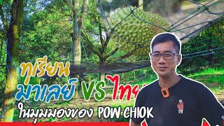 ทุเรียนมาเลย์ VS ไทย ในมุมมองของ Pow Chiok แอดมินกลุ่มทุเรียนดังของมาเลเซีย : ต้นไม้และสวน TV