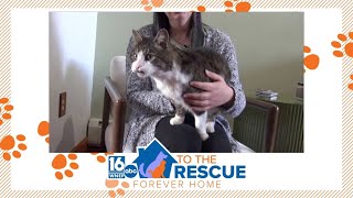 Eugene: 16 To The Rescue