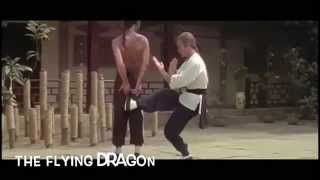 Wing Chun deadly strikes