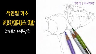 색연필기초/리시안셔스1탄/스케치\u0026색상표/디테일 쉽게 잡는 방법/색연필 보태니컬아트 기초/colored pencils botanical art