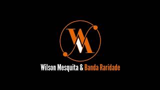 Wilson Mesquita & Banda Raridade no Brega. VOLUME 2