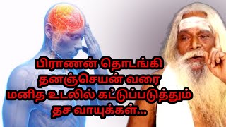 பிராணன் தொடங்கி தனஞ்செயன் வரை மனித உடலில் கட்டுப்படுத்தும் தச வாயுக்கள்.. #Brahma #Suthrakulu #tamil