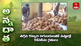 Downfall of coconut prices-loss by farmers | ETV