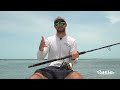 how to catch tarpon off the beach live baits u0026 floats