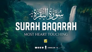 Surah Al Baqarah سورة البقره | Heart Touching Voice | Viral Quran | Zikrullah TV