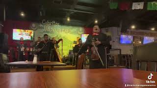 Can’t take my eyes off of you / Dallas Tx / Mariachi Arraigo de America