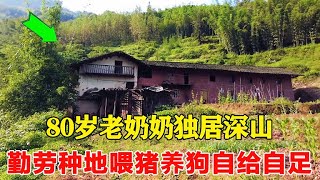 【合集】80岁老奶奶独居深山，喂猪养狗自给自足，勤劳种地身体健康！