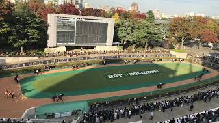 JRA 払戻し確定チャイム