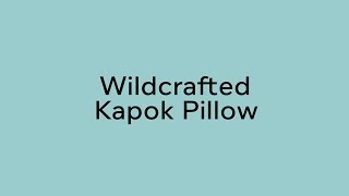 Review Wild Kapok Pillow Organic Cotton Ticking By Rawganique