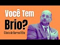 Clóvis de Barros Filho - Motivacional - Você tem brio?