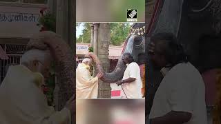 தமிழகத்தில் உள்ள ஸ்ரீ ரங்கநாதசுவாமி கோயிலில் உள்ள யானை, பிரதமர் மோடியை ஆசிர்வதித்து, வாய் உறுப்பு வாசித்தது