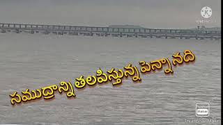 సముద్రాన్ని తలపిస్తున్న పెన్నా  నది-నెల్లూరు 19/11/2021