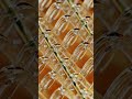 Waves made with geometry nodes in Blender.