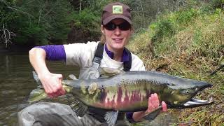 A History of Salmonids in the Columbia River Basin and ODFW’s Chum Salmon Reintroduction Project