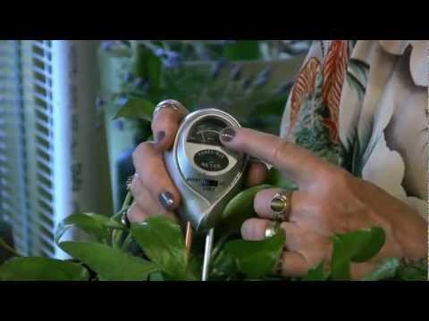 Houseplants #3: Tools for testing soil moisture Houseplants #3: Tools for testing soil moisture