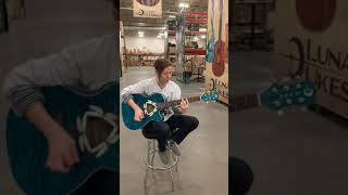 Luna Fauna Dragonfly Acoustic Guitar Jams ft. Chelsea Davis