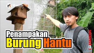 Tempat Pelestarian Burung Hantu Terbesar di Karawang