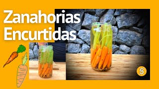 ZANAHORIAS ENCURTIDAS - RECETAS EN 5 MINUTOS