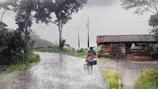 Sudden Lightning Storm Puts Entire Village in Panic! 🌩️😨