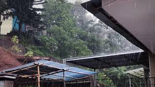 Rasakan Kedamaian di Tengah Hujan Deras dan Guntur, Tidur Nyenyak, Fokus Belajar #rain #rainsounds