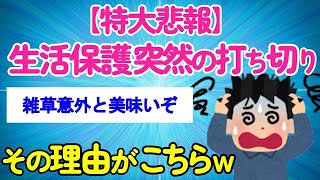 【2chスレ】悲報 生活保護ワイ、突然の打ち切り→その理由がこちらｗｗｗｗｗ【生活保護】