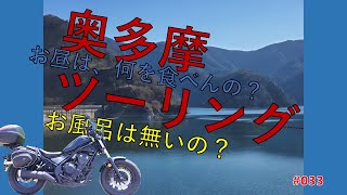 【レブル500ツーリング】東京都の奥多摩でブラブラしてきたよ。もえぎの湯最高です。