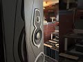 Sonus Faber Amati and McIntosh #amp #hifi #shorts