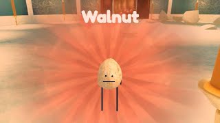 How to get WALNUT in SECRET STAYCATION Roblox [ Christmas Update Xmas Limited ]