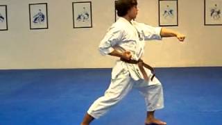 Taikyoku Shodan Shotokan Karate kata 1