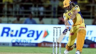 chepauk roars loudly Ms Dhoni sir arrival at the creases|#csk |#msdhoni #ipl2024 #chennai