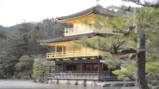 BEAUTIFUL GOLD TEMPLE IN JAPAN ||| Kinkaku-ji Temple in Kyoto!