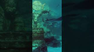 Dive the Ancient Ruins of Lion City in Qiandao Lake | UNKNOWN FACTS