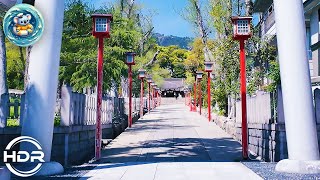 [ Travel Shrine ] A Place to relax in Japan #walking_tour